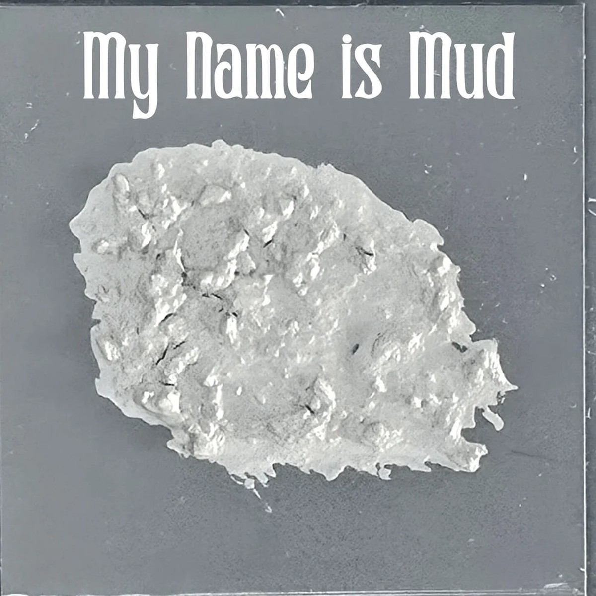 Bear Cavalry My Name is Mud