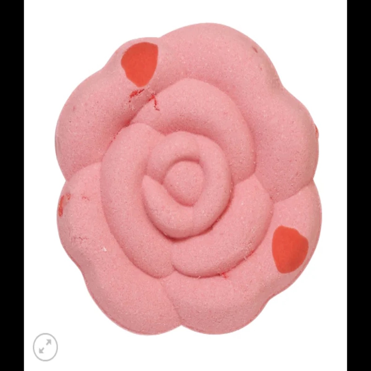 Petal in Bath Fizz Rose