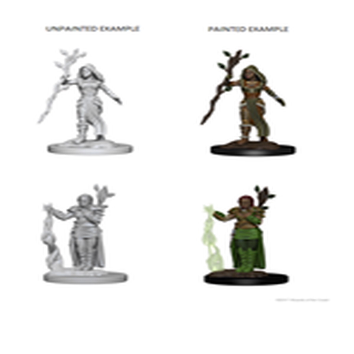 D&D Unpainted Minis: Human Female Druid