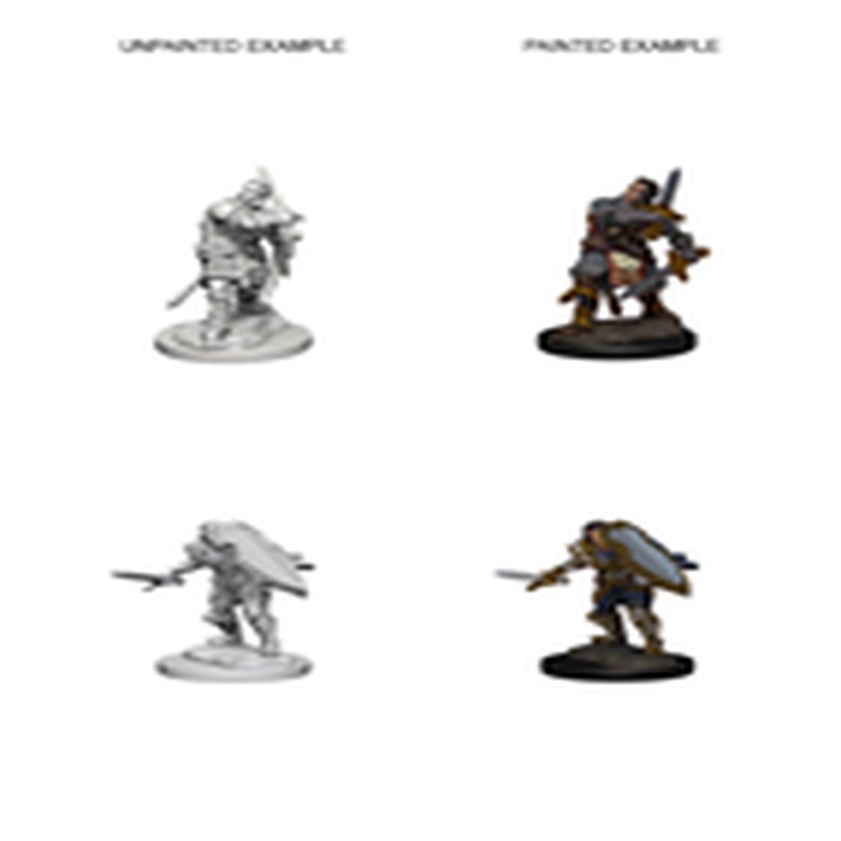 D&D Unpainted Minis: Human Male Paladin